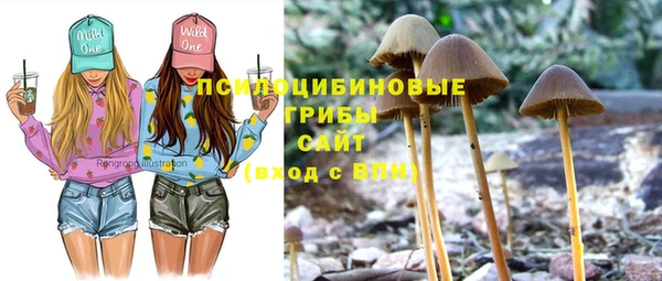 кокс Балабаново